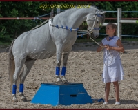 1-13JUIN 0940